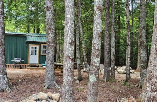 Whitney Cabin | Marvelous water front cabin with AC in Lakeville - Stay cool and cozy and relax!
