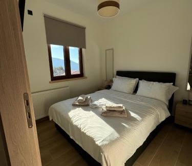 Arachova Apartment | Mary's View House