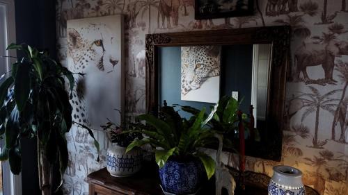 Old Place Apartment | Mary's Window
