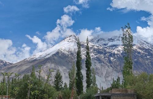 Hunder House | Maryoul Guest House, Hunder Nubra
