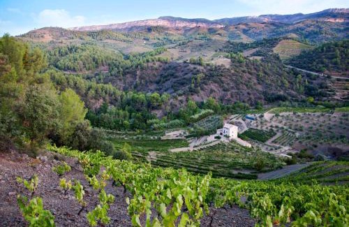 Torroja del Priorat House | MAS ALSERA. Masoveria d'Agroturisme