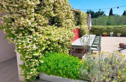 Maussane House | Mas de charme au pied des Alpilles