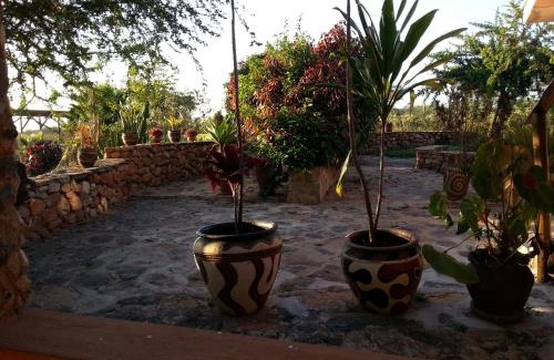 Bisil Hotel | Masai Eco Lodge