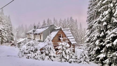 Bila Cabin | Masarykova chata na Beskydě
