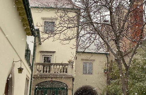 Gumpoldskirchen Apartment | Masionette apartment in wine region 30 min south of Vienna
