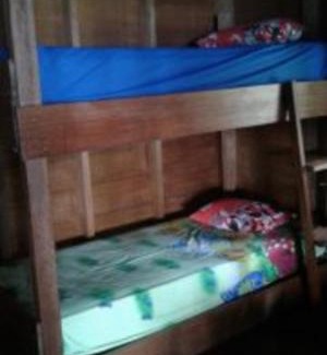 Pulau Masokut Hotel | Masokut Surf Camp Siberut
