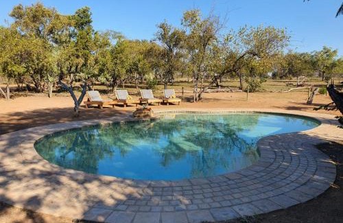 Phalaborwa Cabin | Masorini Bush Lodge & Safari Tents