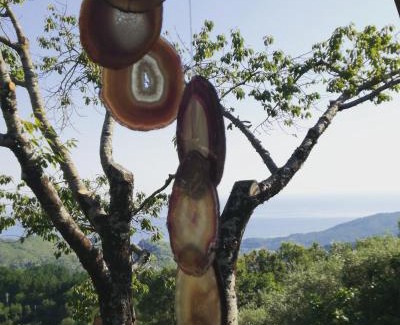 Tortorella Bed & Breakfast | Masseria Cata catascia