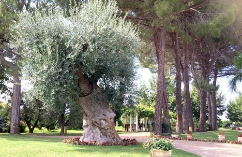 Ginosa Marina Apartment | Masseria La Stornara. Girasole