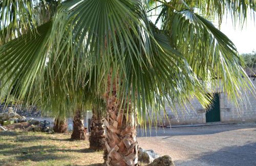 Carpino Bed & Breakfast | Masseria Romagnolo