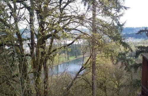 Carver Apartment | Master Suite Overlooking Clackamas River!
