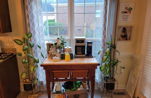 Riverwood Plantation House | Masters Tournament Rental HOME Sleeps 8+ Near Champions Golf Course