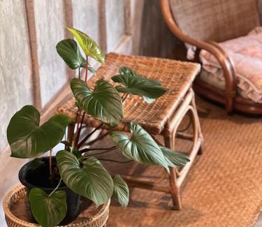 Muang Ngam House | Matchoon Homestay