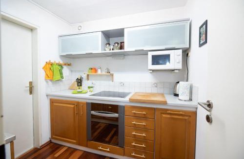 Zirovnica Apartment | Mateja House - Apartments in Žirovnica