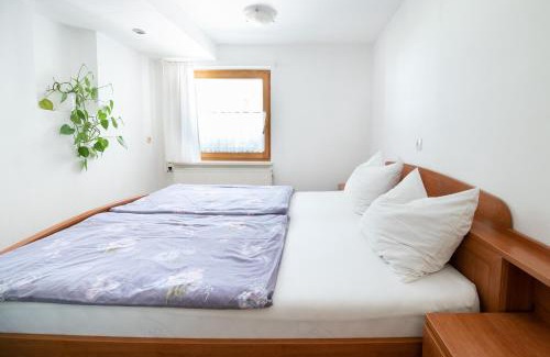 Zirovnica Apartment | Mateja House - Apartments in Žirovnica