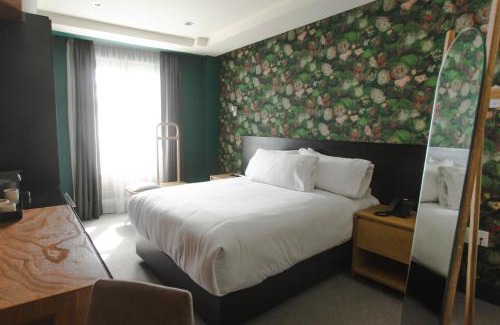 Zacatecas Centro Hotel | Matiana Morelos