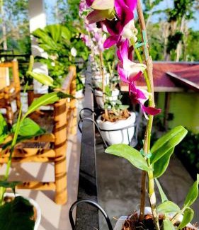 Carmen Bed & Breakfast | Matilde B&B - La Paz, Carmen