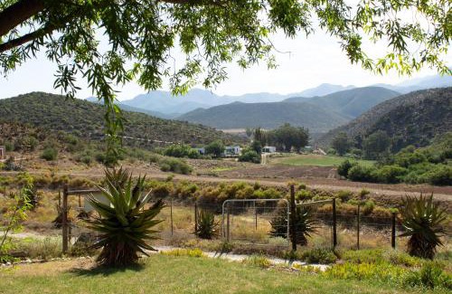 Calitzdorp House | Matjiesvlei Cottages