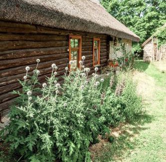 Igakula House | Matsi cottage