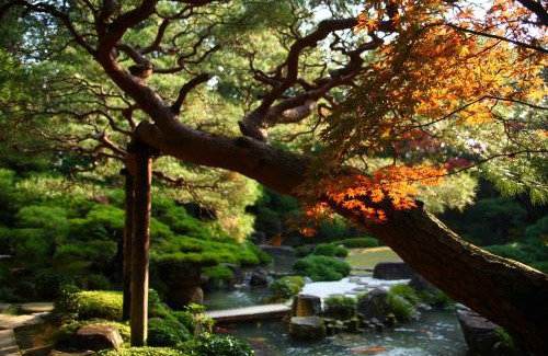 Yudaonsen Hotel | Matsudaya Hotel