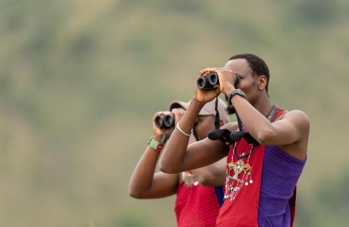 Aitong Other | Mattikoko Safari Camp