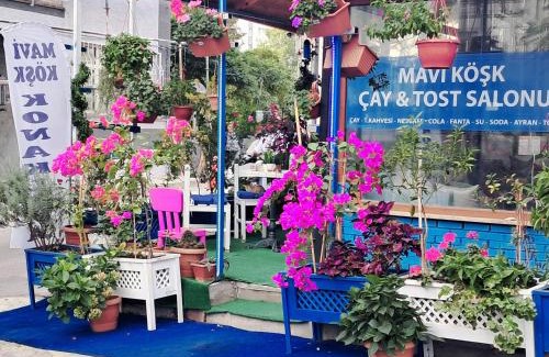 Osmangazi Apartment | Mavi köşk