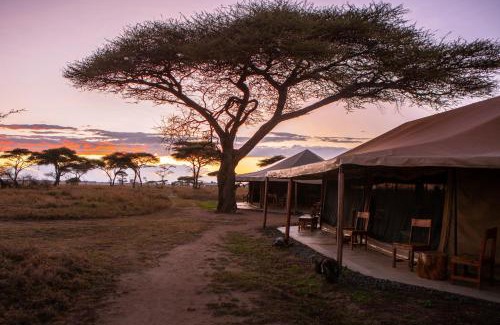 Serengeti National Park Cabin | Mawe Tented Camp