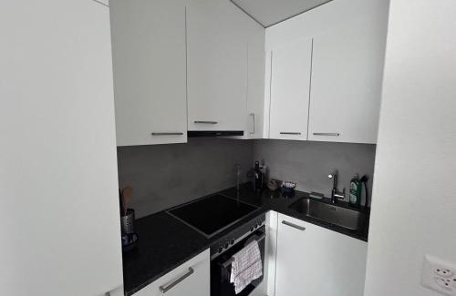 Schaffhausen Apartment | Max Apartments
