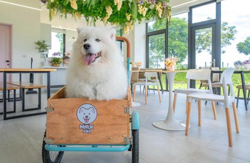 Dongshan House | Max Home Homestay