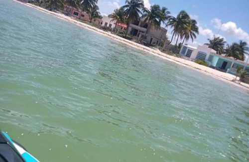 Chicxulub Puerto Apartment | Mayab Beach II
