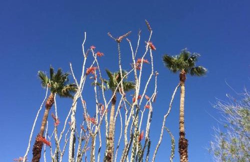 Twentynine Palms House | Mayfair House - 4 Minutes to National Park!