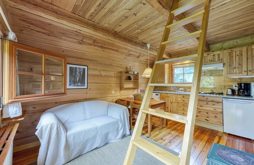 Les Tines Apartment | Mazot Mer de Glace, Chamonix, France