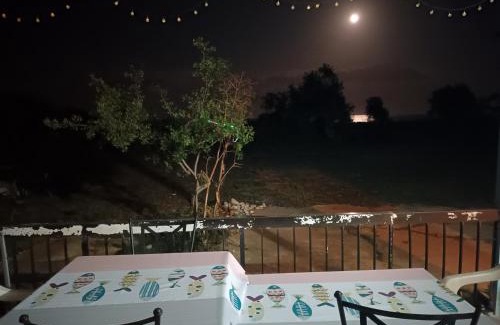 Mazotos House | Mazotos beach house