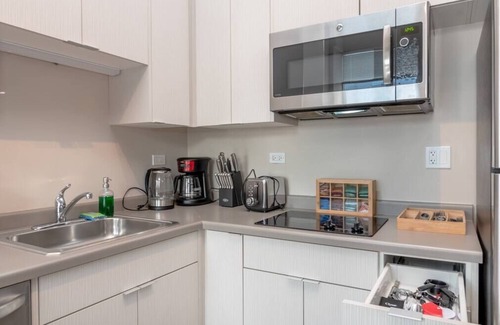 Near South Side Apartment | McCormick Place 2br/2ba with Optional Parking/Patio/Gym/sleeps 6