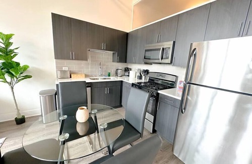 Near South Side Apartment | McCormick Place Skyline view Secret Oasis sleeps 8