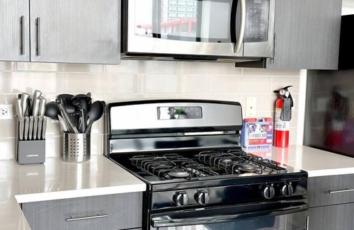 Near South Side Apartment | McCormick Place Skyline view Secret Oasis sleeps 8