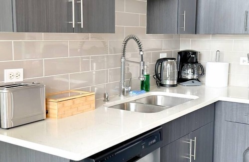 Near South Side Apartment | McCormick Place Skyline view Secret Oasis sleeps 8