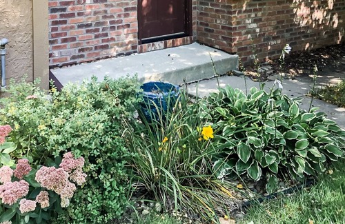 Sioux Falls House | McKennan Park Charmer | Just steps to Avera