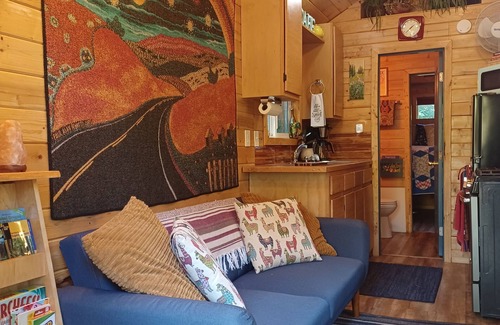 McKenzie Bridge Cabin | Mckenzie Riverfront Tiny Cabin near Hoodoo, Hotsprings & Loloma!
