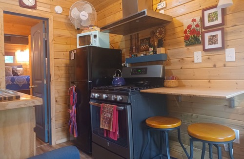 McKenzie Bridge Cabin | Mckenzie Riverfront Tiny Cabin near Hoodoo, Hotsprings & Loloma!