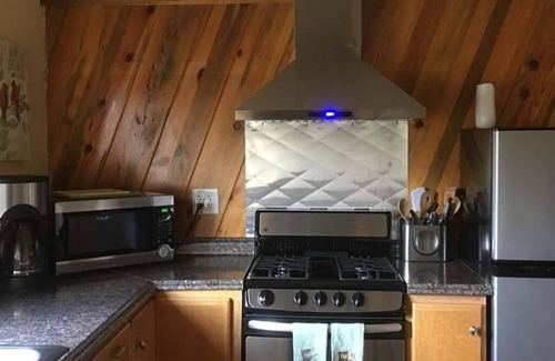 McKinley Park Apartment | McKinley Creekside Cabins & Cafe'-The Carlo Loft