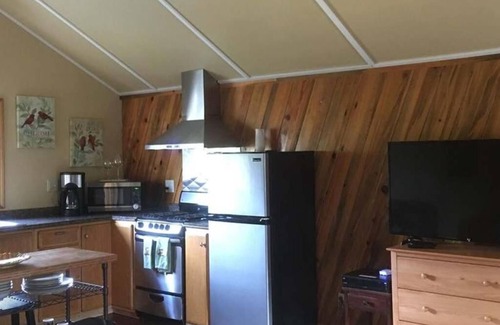 McKinley Park Apartment | McKinley Creekside Cabins & Cafe'-The Carlo Loft