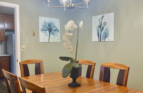 Southwest Raleigh House | MCM 3BR/2Ba in a peaceful, central Raleigh neighborhood