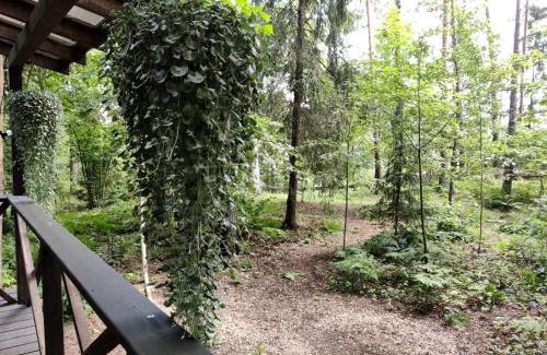 Pieriga House | Meža māja