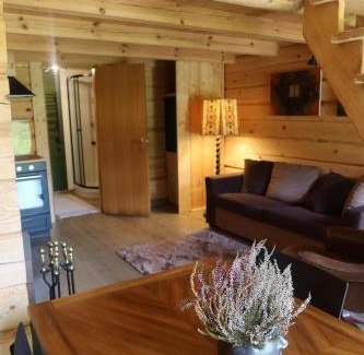 Latgale House | Meža namiņš pie upes