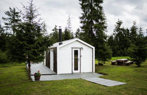 Amata Municipality House | Meža namiņš Upeskrasti