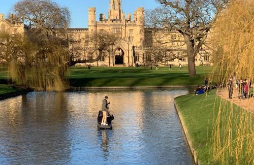 Arbury Apartment | Meadow House