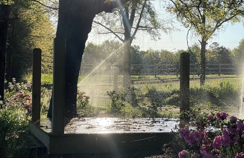 South Carolina Lakes & Blackwater Rivers Cabin | MEADOW LODGE @ Whisper Farm: Gorgeous Southern Lodge,100 Ac w Horses, dogs ok!