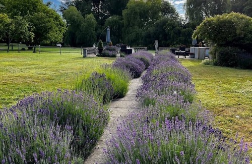 Broughton House | Meadowbrook House and Glamping