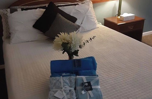 Adrian Bed & Breakfast | Meadowbrook in Quiet, Peaceful Setting in Adrian, private room